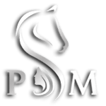 PM真人